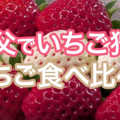 秩父でいちご狩り『あまりん』『あき姫』『かおり野』『恋みのり』『やよいひめ』を食べ比べ！