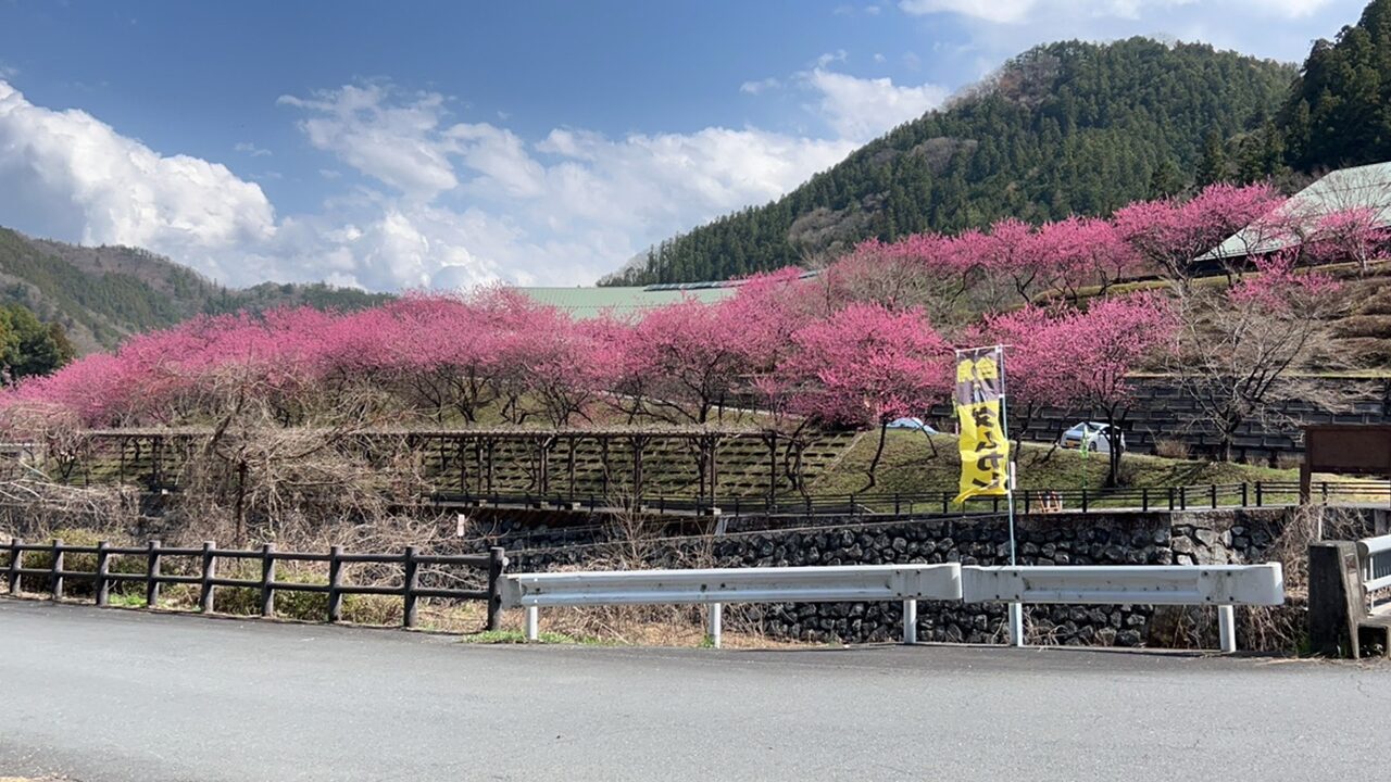 吉田元気村